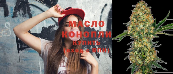 таблы Гусев