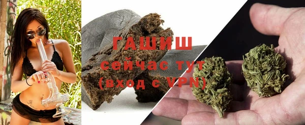 таблы Гусев