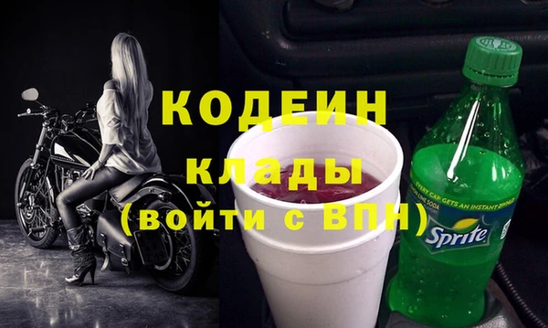 таблы Гусев