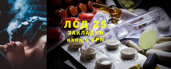 таблы Гусев